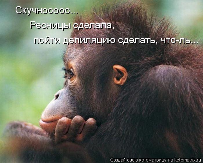 Скучнооооо... Ресницы сделала, пойти депиляцию сделать, что-ль...... Котоматрица: Скучнооооо... Ресницы сделала, пойти депиляцию сделать, что-ль...
