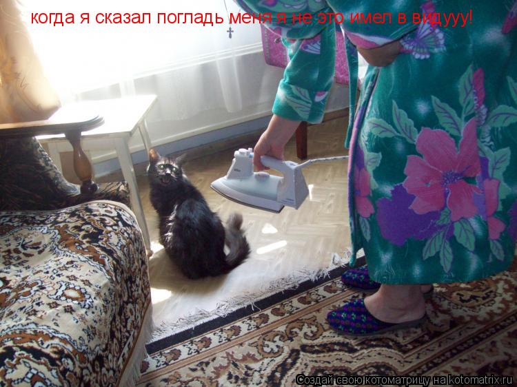 когда я сказал погладь меня я не это имел в видууу!... Котоматрица: когда я сказал погладь меня я не это имел в видууу!