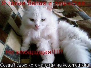Я такая белая и пушистая... Но злющщщая!!!!!... Котоматрица: Я такая белая и пушистая... Но злющщщая!!!!!