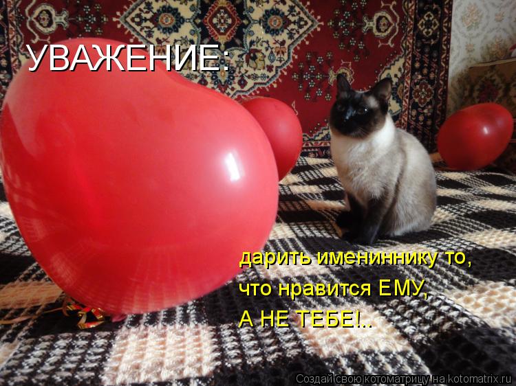 Котоматрица: УВАЖЕНИЕ: дарить имениннику то, что нравится ЕМУ, А НЕ ТЕБЕ!..