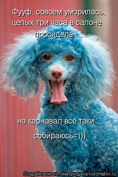 Фууф, совсем уморилась, целых три часа в салоне просидела...... на карнавал всё таки собираюсь=)))... Котоматрица: Фууф, совсем уморилась, целых три часа в салоне просидела...... на карнавал всё таки собираюсь=)))