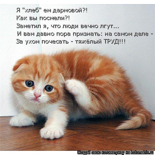 И вам давно пора признать: на самом деле - Заметил я, что люди вечно лгут... Как вы посмели?! Я "хле... Котоматрица: И вам давно пора признать: на самом деле - Заметил я, что люди вечно лгут... Как вы посмели?! Я "хлеб" ем дармовой?! За ухом почесать - тяжёлый ТРУ