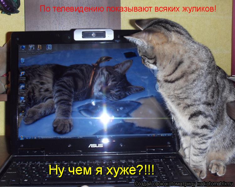 По телевидению показывают всяких жуликов! Ну чем я хуже?!!!... Котоматрица: По телевидению показывают всяких жуликов! Ну чем я хуже?!!!