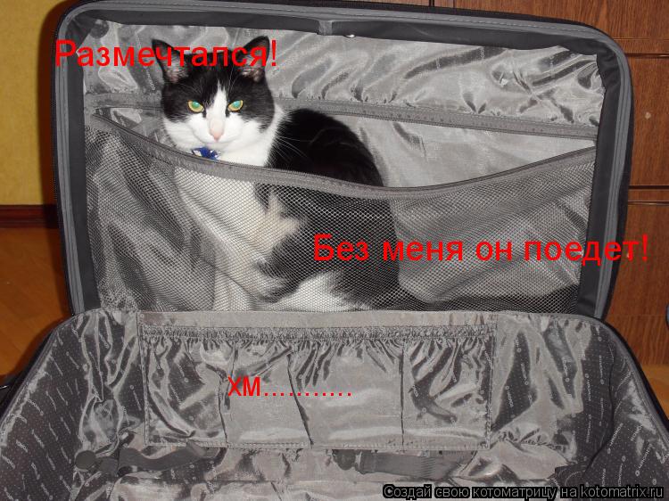 Размечтался! Без меня он поедет! хм.............. Котоматрица: Размечтался! Без меня он поедет! хм...........