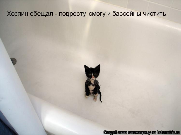 Хозяин обещал - подросту, смогу и бассейны чистить... Котоматрица: Хозяин обещал - подросту, смогу и бассейны чистить