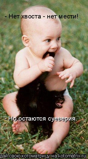 - Но остаются суеверия. - Нет хвоста - нет мести!... Котоматрица: - Но остаются суеверия. - Нет хвоста - нет мести!