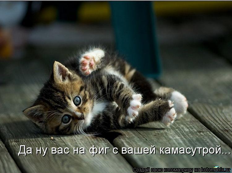 Да ну вас на фиг с вашей камасутрой...... Котоматрица: Да ну вас на фиг с вашей камасутрой...