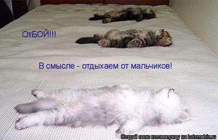 ОтБОЙ!!! В смысле - отдыхаем от мальчиков!... Котоматрица: ОтБОЙ!!! В смысле - отдыхаем от мальчиков!