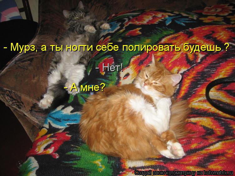 - Нет! - А мне? - Мурз, а ты ногти себе полировать будешь ?... Котоматрица: - Нет! - А мне? - Мурз, а ты ногти себе полировать будешь ?