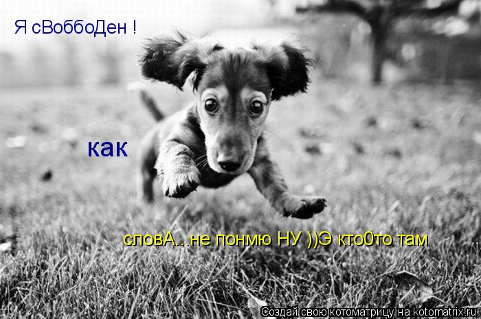 словА...не понмю НУ ))Э кто0то там Я сВоббоДен ! как... Котоматрица: словА...не понмю НУ ))Э кто0то там Я сВоббоДен ! как