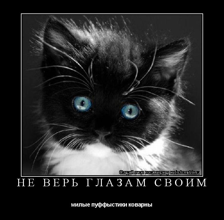 Не верь глазам своим милые пуффыстики коварны... Котоматрица: Не верь глазам своим милые пуффыстики коварны