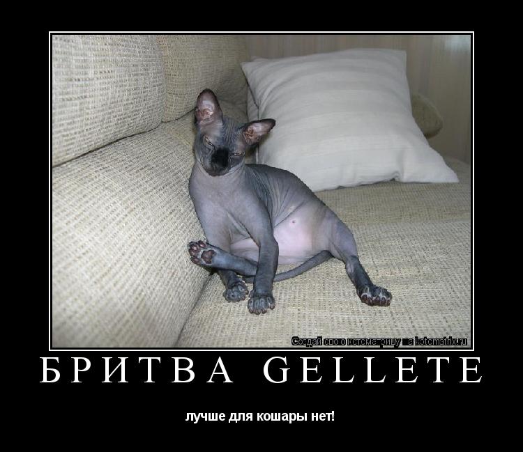 Котоматрица: Бритва Gellete лучше для кошары нет!