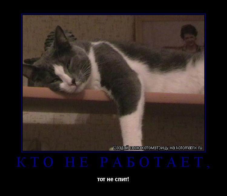 Кто не работает, тот не спит!... Котоматрица: Кто не работает, тот не спит!