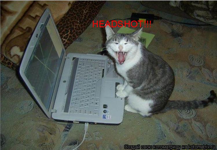 HEADSHOT!!!... Котоматрица: HEADSHOT!!!