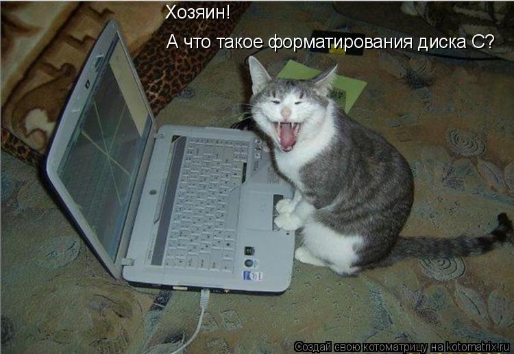 А что такое форматирования диска C? Хозяин!... Котоматрица: А что такое форматирования диска C? Хозяин!