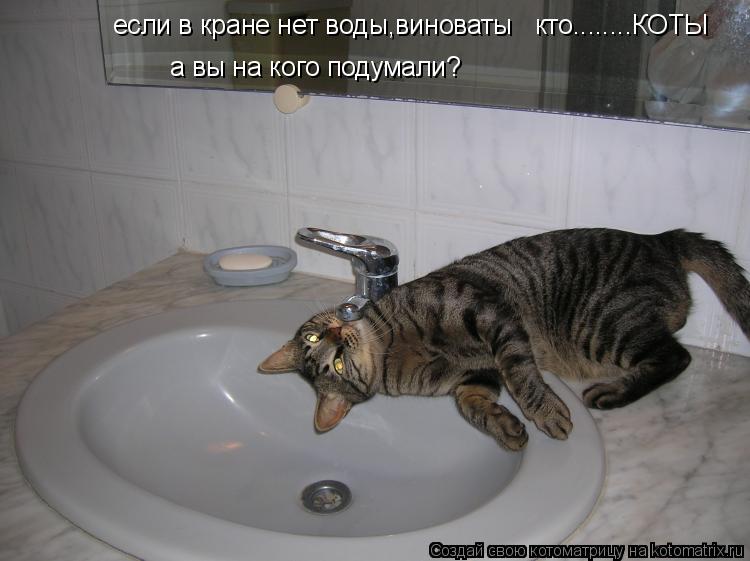 если в кране нет воды,виноваты кто........КОТЫ а вы на кого подумали?... Котоматрица: если в кране нет воды,виноваты кто........КОТЫ а вы на кого подумали?
