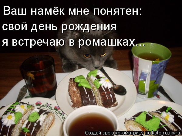 Ваш намёк мне понятен: свой день рождения я встречаю в ромашках...... Котоматрица: Ваш намёк мне понятен: свой день рождения я встречаю в ромашках...
