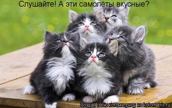 Слушайте! А эти самолёты вкусные?... Котоматрица: Слушайте! А эти самолёты вкусные?