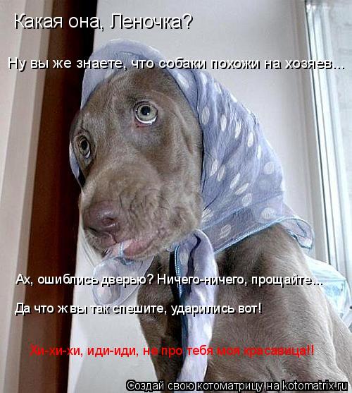 Какая она, Леночка? Ну вы же знаете, что собаки похожи на хозяев... Ах, ошиблись дверью? Ничего-ничег... Котоматрица: Какая она, Леночка? Ну вы же знаете, что собаки похожи на хозяев... Ах, ошиблись дверью? Ничего-ничего, прощайте... Да что ж вы так спешите, удари