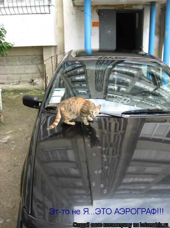 Эт-то не Я...ЭТО АЭРОГРАФ!!!... Котоматрица: Эт-то не Я...ЭТО АЭРОГРАФ!!!