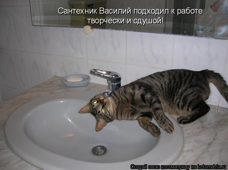 Сантехник Василий подходил к работе творчески и сдушой!... Котоматрица: Сантехник Василий подходил к работе творчески и сдушой!