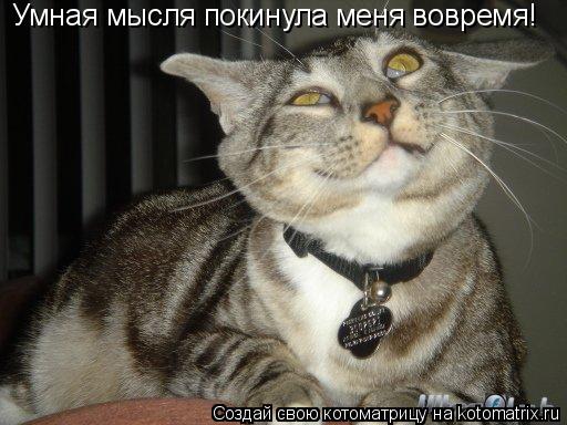 Умная мысля покинула меня вовремя!... Котоматрица: Умная мысля покинула меня вовремя!