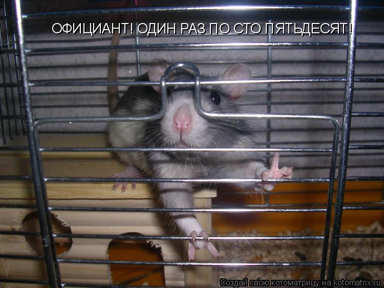 ОФИЦИАНТ! ОДИН РАЗ ПО СТО ПЯТЬДЕСЯТ!... Котоматрица: ОФИЦИАНТ! ОДИН РАЗ ПО СТО ПЯТЬДЕСЯТ!