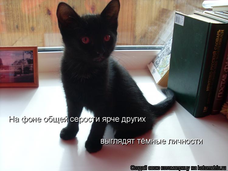 На фоне общей серости ярче других выглядят тёмные личности... Котоматрица: На фоне общей серости ярче других выглядят тёмные личности