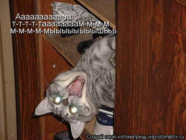 Котоматрица: Аааааааааааа т-т-т-т-таааааааам-м-м-м м-м-м-м-мыыыыыыыышььь