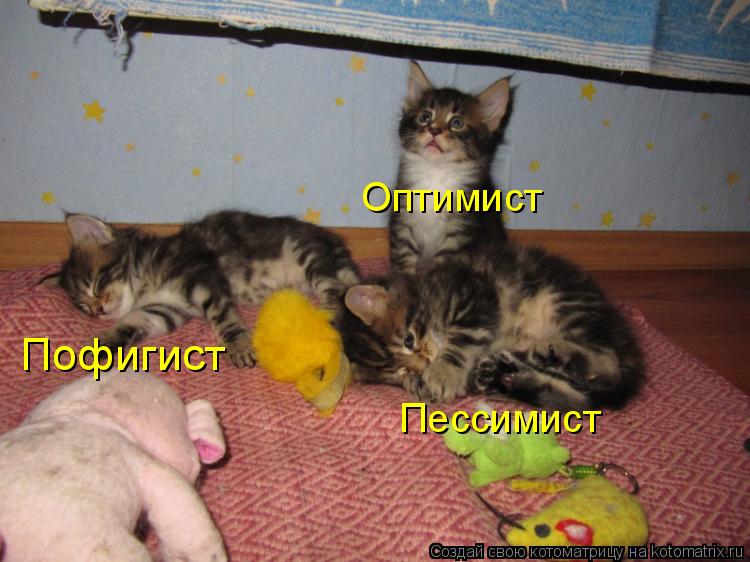 Котоматрица: Оптимист Пессимист Пофигист