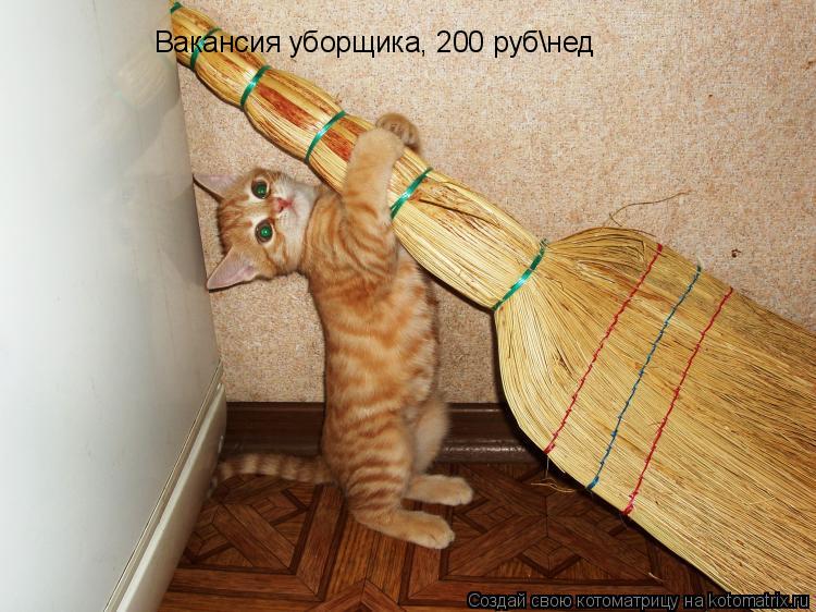 Котоматрица: Вакансия уборщика, 200 рубнед