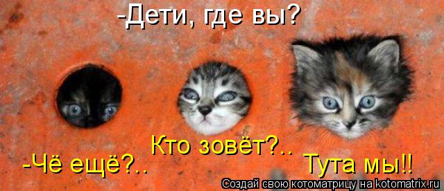 Котоматрица: -Дети, где вы? -Чё ещё?..                     Тута мы!! Кто зовёт?..