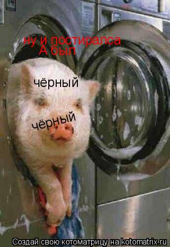 ну и постиралса А был чёрный чёрный... Котоматрица: ну и постиралса А был чёрный чёрный