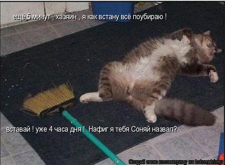 вставай ! уже 4 часа дня ! Нафиг я тебя Соняй назвал? ещё 5 минут , хазяин , я как встану всё поубир... Котоматрица: вставай ! уже 4 часа дня ! Нафиг я тебя Соняй назвал? ещё 5 минут , хазяин , я как встану всё поубираю !
