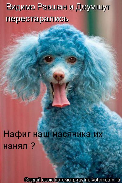 Видимо Равшан и Джумшут перестарались Нафиг наш насяника их нанял ?... Котоматрица: Видимо Равшан и Джумшут перестарались Нафиг наш насяника их нанял ?