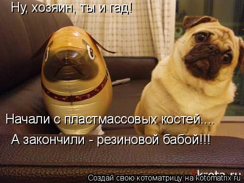 Ну, хозяин, ты и гад! Начали с пластмассовых костей.... А закончили - резиновой бабой!!!... Котоматрица: Ну, хозяин, ты и гад! Начали с пластмассовых костей.... А закончили - резиновой бабой!!!