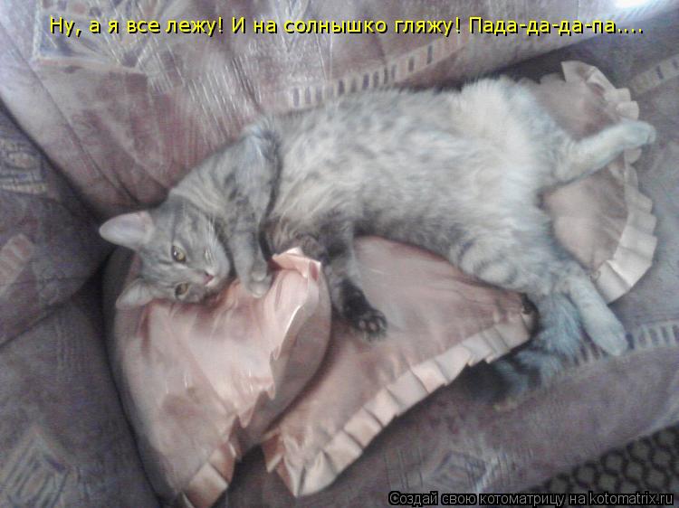 Ну, а я все лежу! И на солнышко гляжу! Пада-да-да-па....... Котоматрица: Ну, а я все лежу! И на солнышко гляжу! Пада-да-да-па....