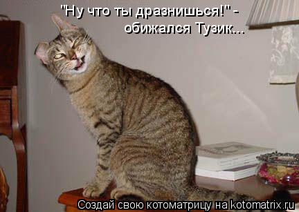 "Ну что ты дразнишься!" - обижался Тузик...... Котоматрица: "Ну что ты дразнишься!" - обижался Тузик...