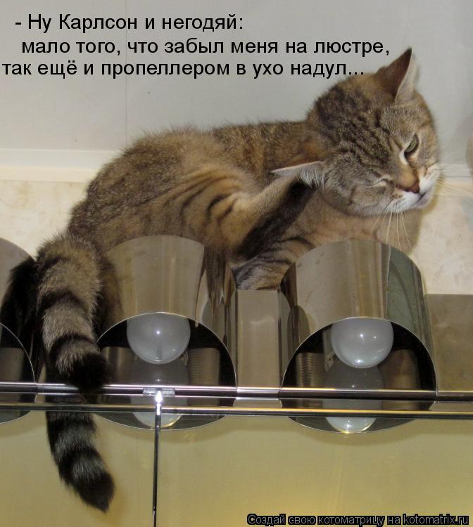 - Ну Карлсон и негодяй: мало того, что забыл меня на люстре, так ещё и пропеллером в ухо надул...... Котоматрица: - Ну Карлсон и негодяй: мало того, что забыл меня на люстре, так ещё и пропеллером в ухо надул...