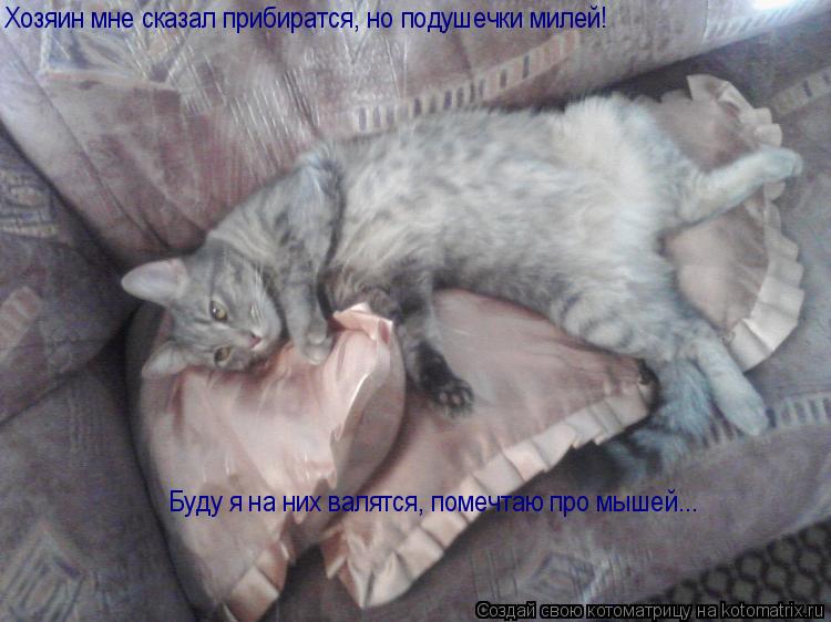 Хозяин мне сказал прибиратся, но подушечки милей! Буду я на них валятся, помечтаю про мышей...... Котоматрица: Хозяин мне сказал прибиратся, но подушечки милей! Буду я на них валятся, помечтаю про мышей...