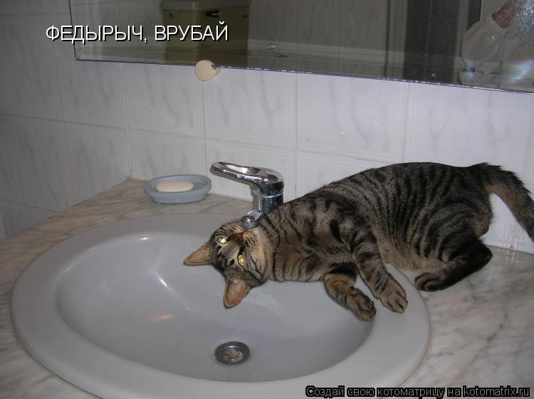 ФЕДЫРЫЧ, ВРУБАЙ... Котоматрица: ФЕДЫРЫЧ, ВРУБАЙ