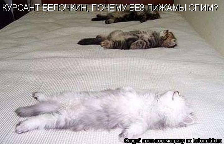 КУРСАНТ БЕЛОЧКИН, ПОЧЕМУ БЕЗ ПИЖАМЫ СПИМ?... Котоматрица: КУРСАНТ БЕЛОЧКИН, ПОЧЕМУ БЕЗ ПИЖАМЫ СПИМ?