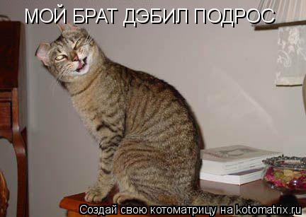 МОЙ БРАТ ДЭБИЛ ПОДРОС... Котоматрица: МОЙ БРАТ ДЭБИЛ ПОДРОС