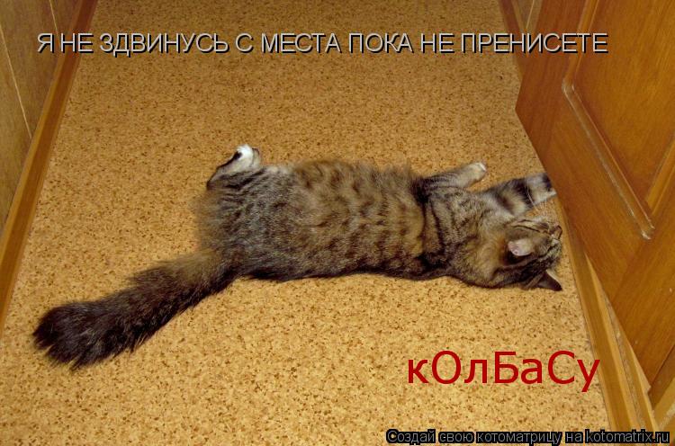 Я НЕ ЗДВИНУСЬ С МЕСТА ПОКА НЕ ПРЕНИСЕТЕ кОлБаСу... Котоматрица: Я НЕ ЗДВИНУСЬ С МЕСТА ПОКА НЕ ПРЕНИСЕТЕ кОлБаСу