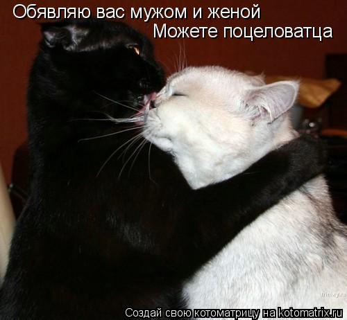 Обявляю вас мужом и женой Можете поцеловатца... Котоматрица: Обявляю вас мужом и женой Можете поцеловатца