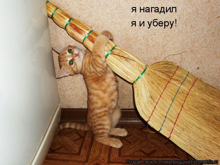 я нагадил я и уберу!... Котоматрица: я нагадил я и уберу!