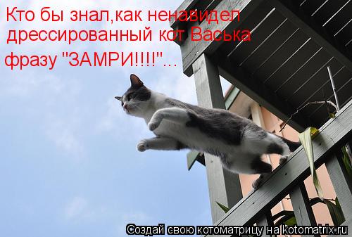 Кто бы знал,как ненавидел дрессированный кот Васька фразу "ЗАМРИ!!!!"...... Котоматрица: Кто бы знал,как ненавидел дрессированный кот Васька фразу "ЗАМРИ!!!!"...
