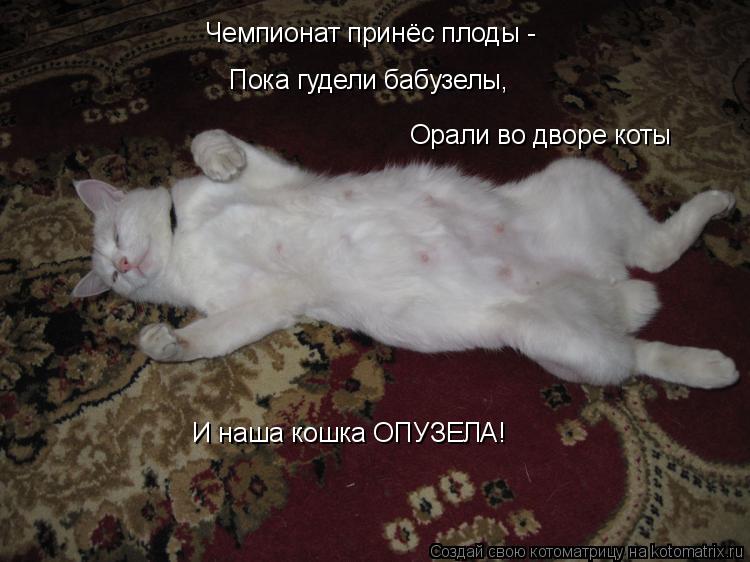 Чемпионат принёс плоды - Пока гудели бабузелы, Орали во дворе коты И наша кошка ОПУЗЕЛА!... Котоматрица: Чемпионат принёс плоды - Пока гудели бабузелы, Орали во дворе коты И наша кошка ОПУЗЕЛА!