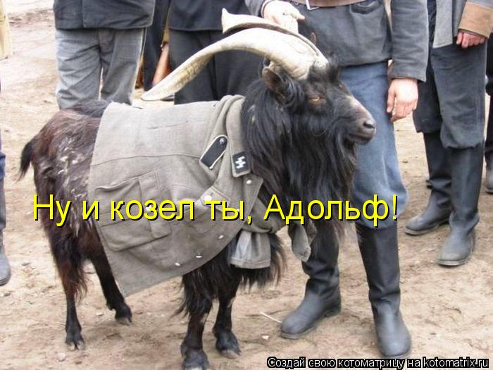 Ну и козел ты, Адольф!... Котоматрица: Ну и козел ты, Адольф!