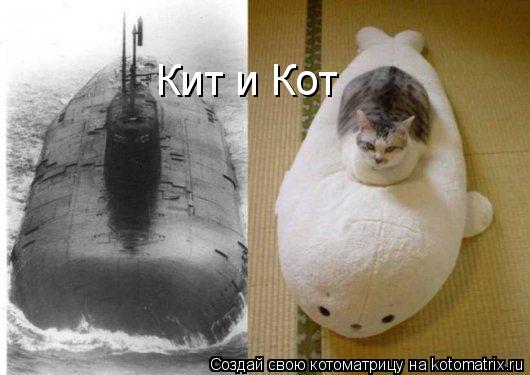 Кит и Кот... Котоматрица: Кит и Кот